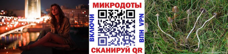 наркошоп Сасово Псилоцибиновые грибы MAGIC MUSHROOMS